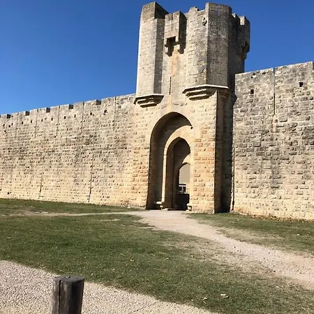 Le Cosy Des Remparts! *